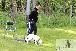 Welpen  24.05.2025 38